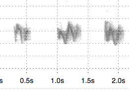 image for bird songs