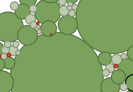 image of bubble chart vis